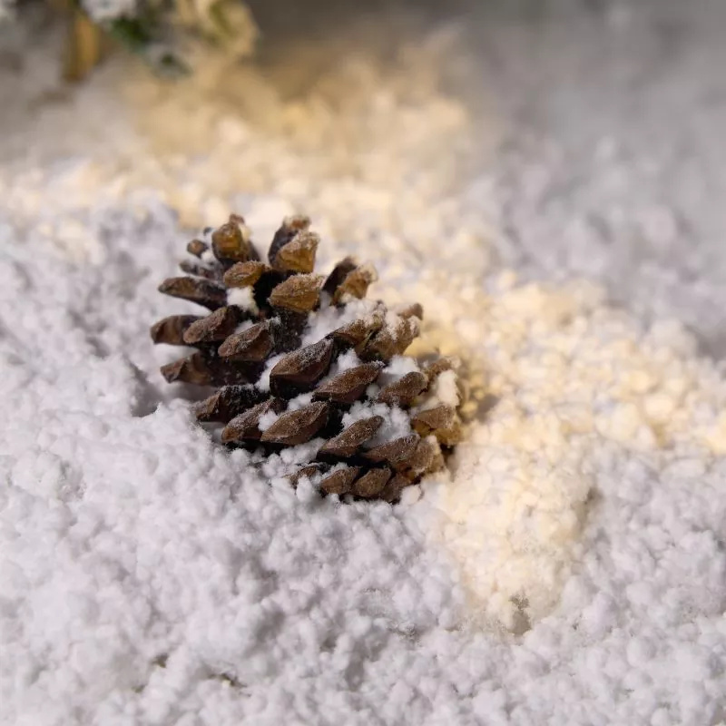 Snöbas biologiskt nedbrytbar